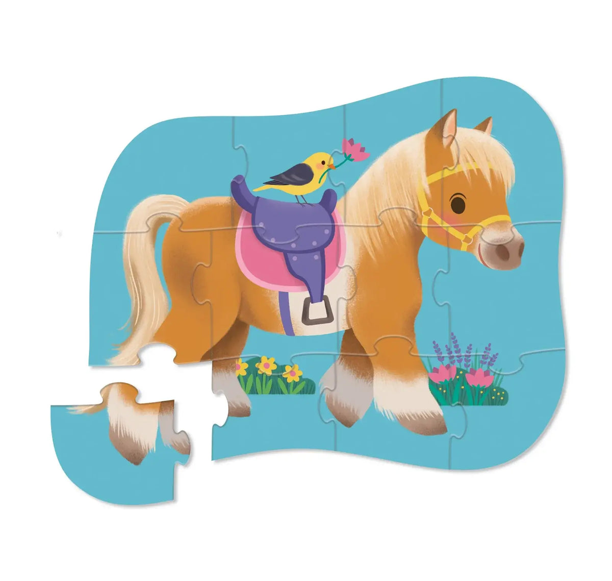 Crocodile Creek |  Pony